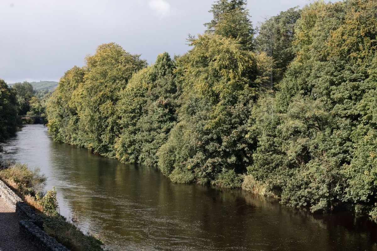 Untitled  x  px www.jacksonshotel.ie