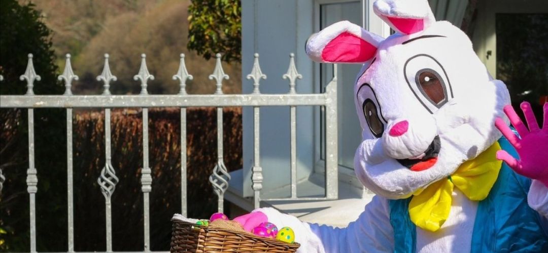 Wedding images   website www.jacksonshotel.ie