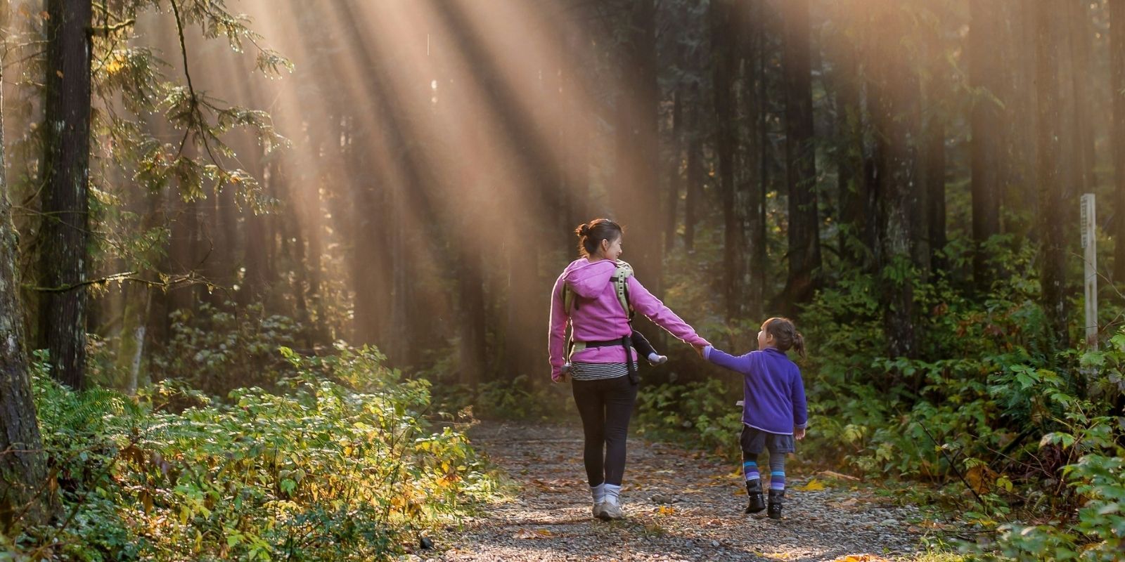 Untitled  x  px www.jacksonshotel.ie